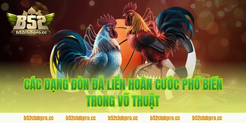 Các dạng đòn đá liên hoàn cước phổ biến trong võ thuật