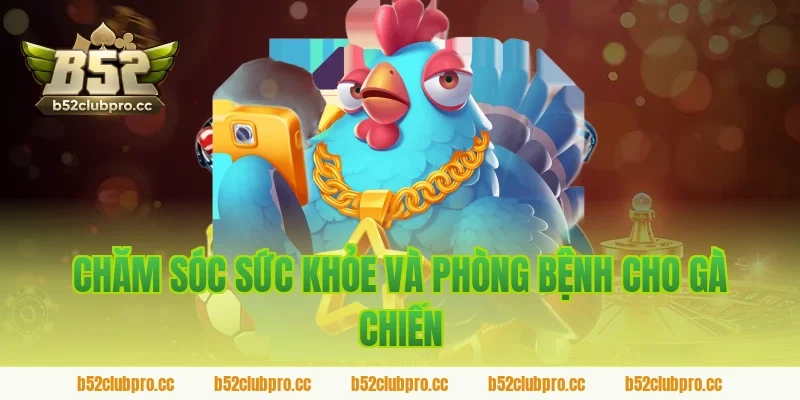 Chăm Sóc Sức Khỏe Và Phòng Bệnh Cho Gà Chiến