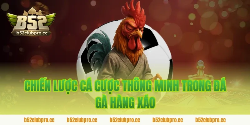 Chiến lược cá cược thông minh trong đá gà hàng xáo