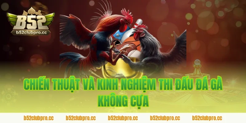 Chiến thuật và kinh nghiệm thi đấu đá gà không cựa