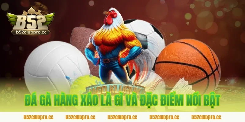 Đá gà hàng xáo là gì và đặc điểm nổi bật