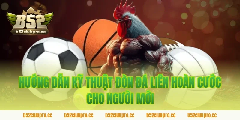 Hướng dẫn kỹ thuật đòn đá liên hoàn cước cho người mới