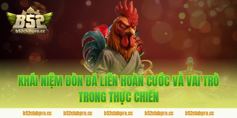 Khái niệm đòn đá liên hoàn cước và vai trò trong thực chiến