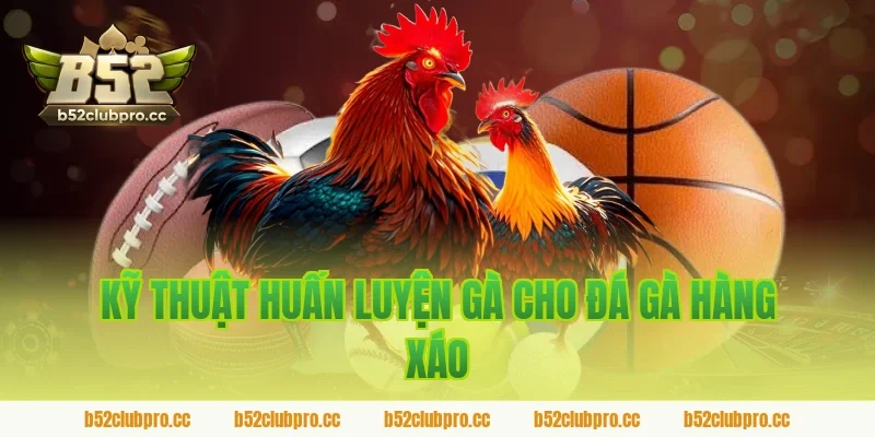 Kỹ thuật huấn luyện gà cho đá gà hàng xáo
