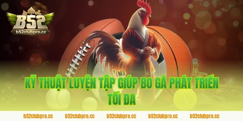 Kỹ Thuật Luyện Tập Giúp Bo Gà Phát Triển Tối Đa