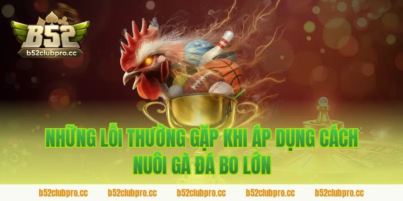 Những Lỗi Thường Gặp Khi Áp Dụng Cách Nuôi Gà Đá Bo Lớn