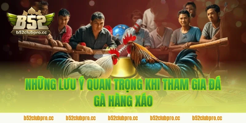 Những lưu ý quan trọng khi tham gia đá gà hàng xáo