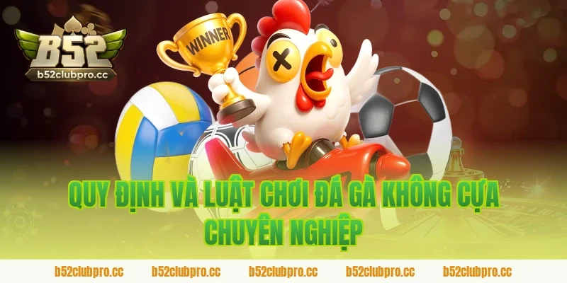 Quy định và luật chơi đá gà không cựa chuyên nghiệp